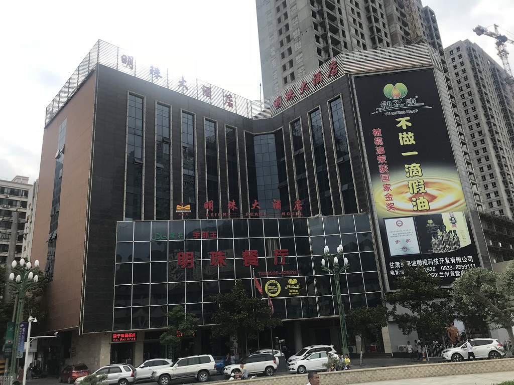 陇南明珠大酒店房地产拍卖公告